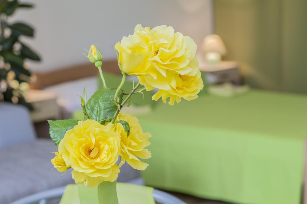 Pula Istria Apartments Экстерьер фото